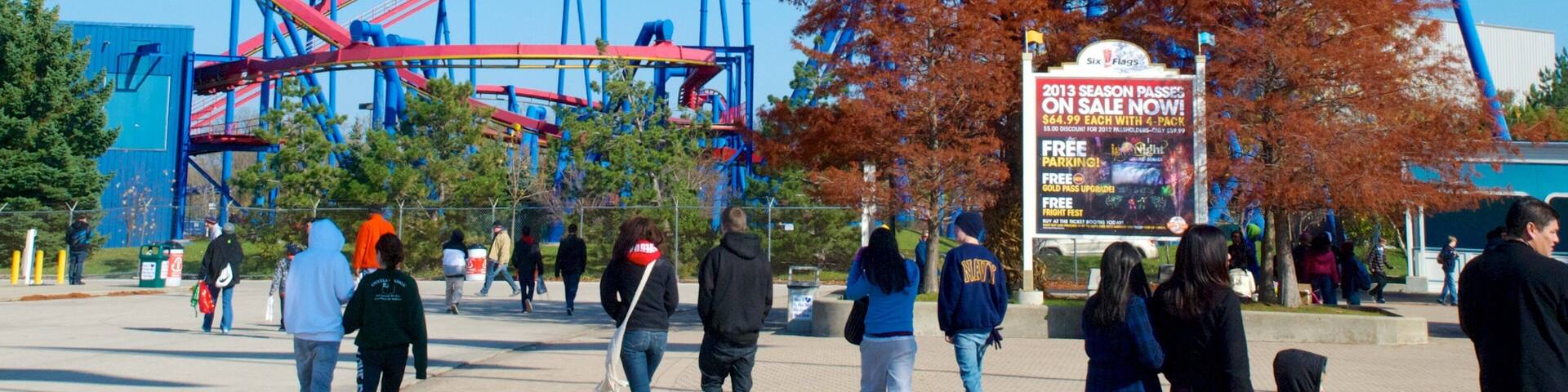 Una montaña rusa en un parque de atracciones con árboles otoñales y un cielo azul despejado.