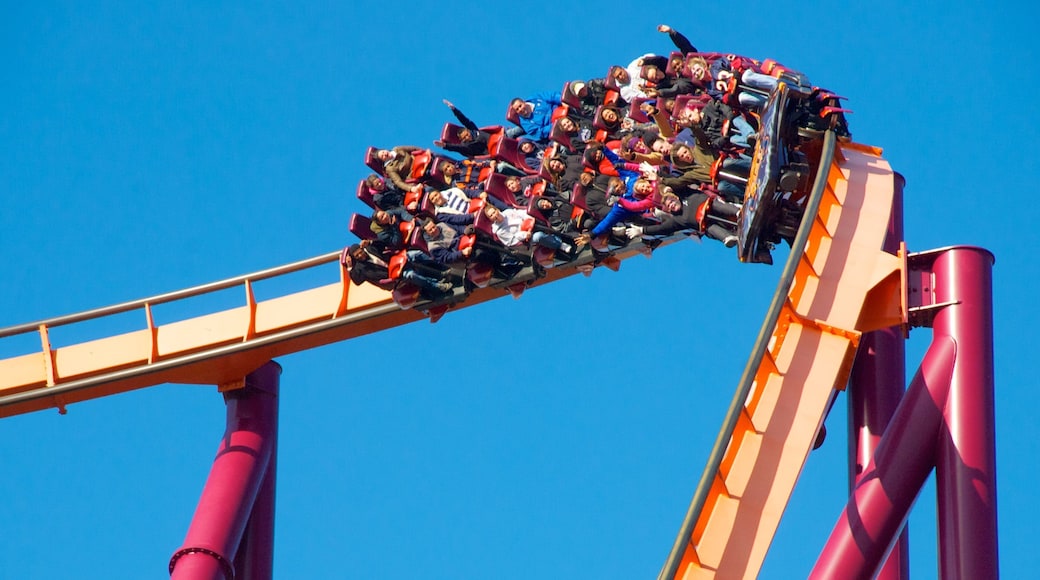 Six Flags Great America featuring rides