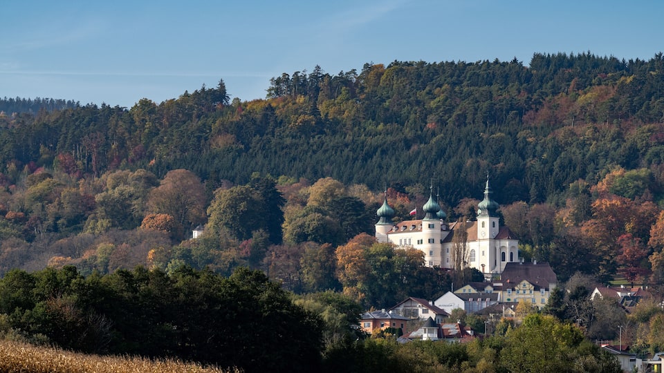 A church with green domes surrounded by autumn-colored trees and houses.