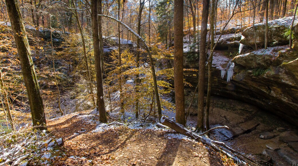 Hemlock Cliffs in Autumn after a light snow, Indiana