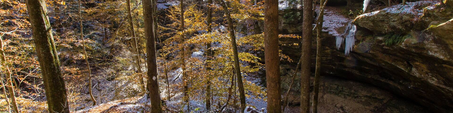 Hemlock Cliffs in Autumn after a light snow, Indiana