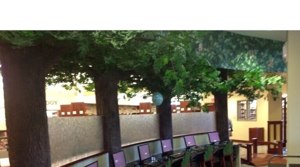 One of finest libraries in the tri-state, and way beyond! Well worth a visit.