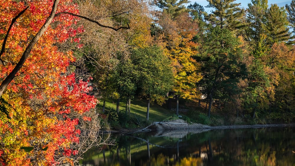 Wolf River landscape, Wisconsin