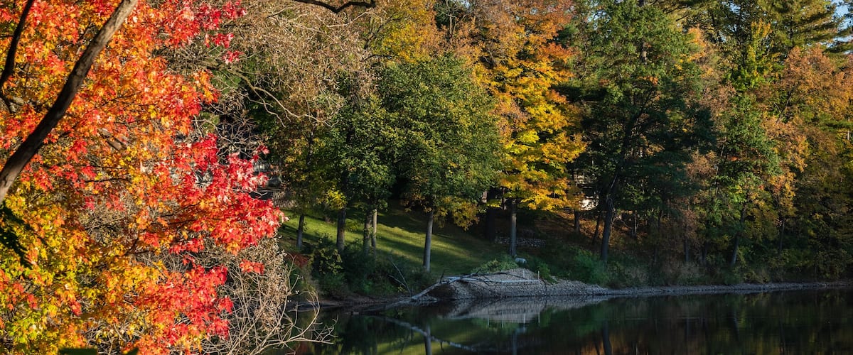 Wolf River landscape, Wisconsin