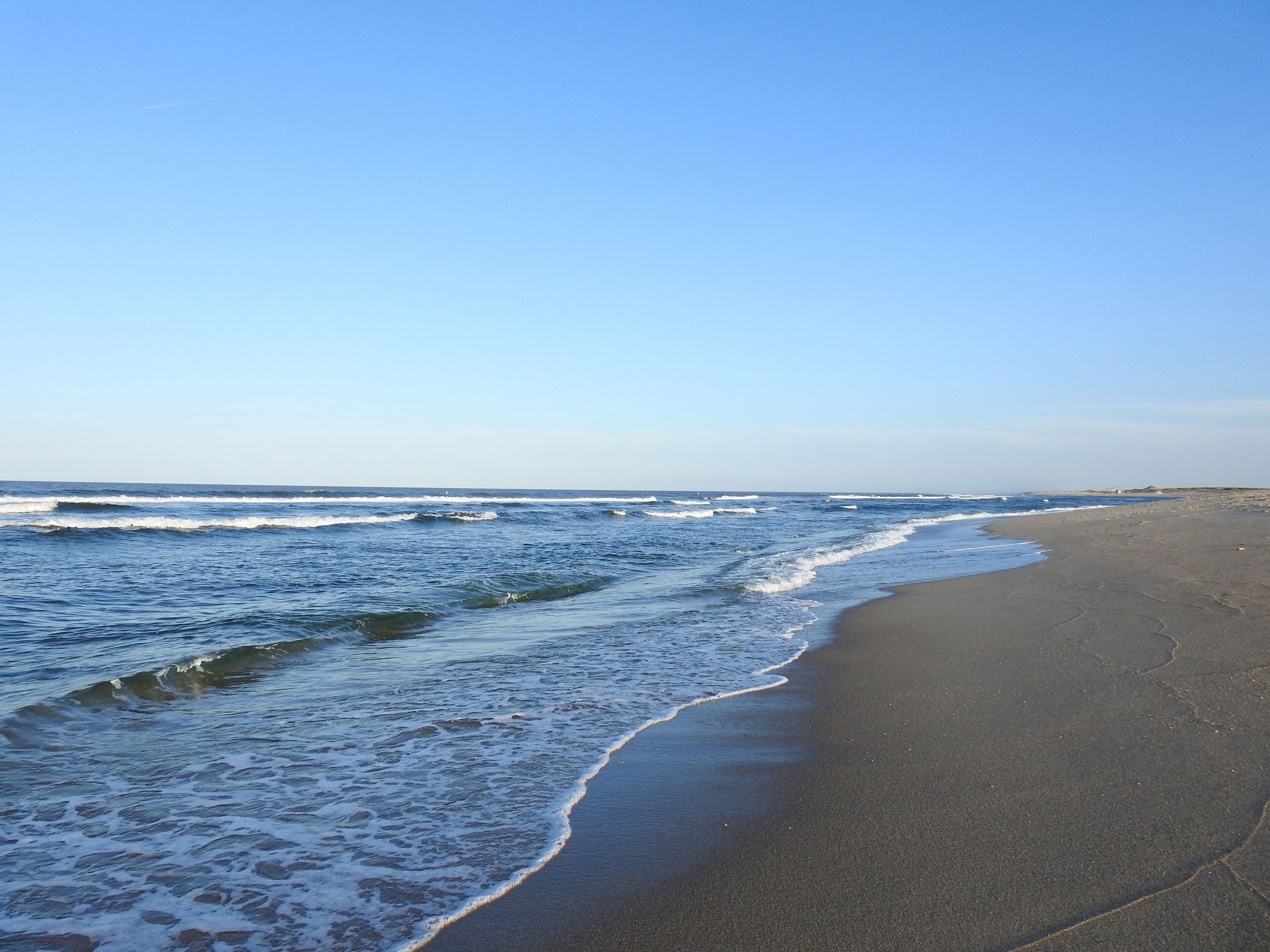 A beach with waves, a clear sky, and a distant shoreline.