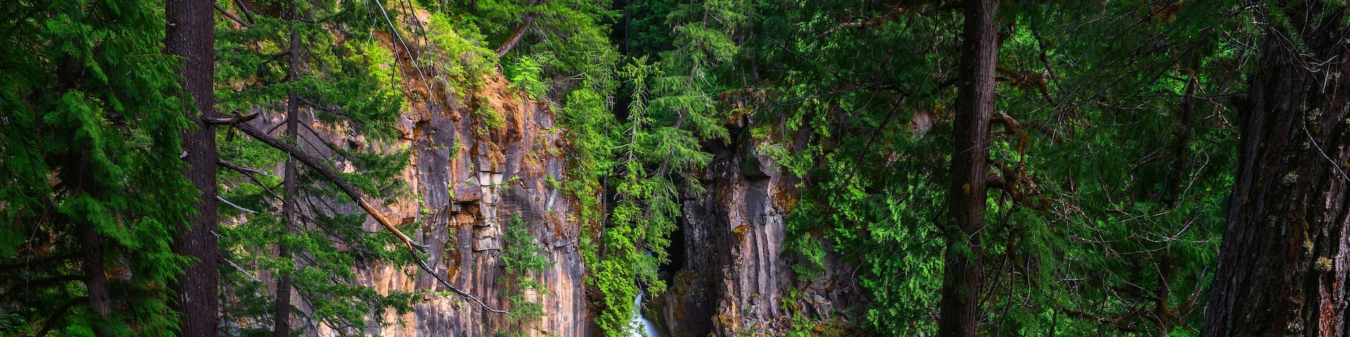 A waterfall surrounded by dense forest.