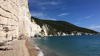A white wall above the sea.