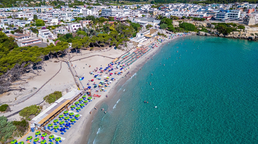 A coastal cityscape with a beach, clear turquoise waters, and a dense urban area with buildings and greenery.