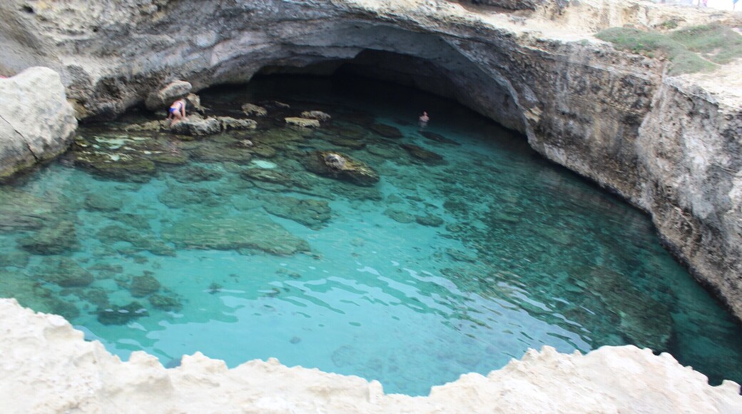 Swimming in below the rocks of this natural cave with crystal clear water
#lifeatexpedia