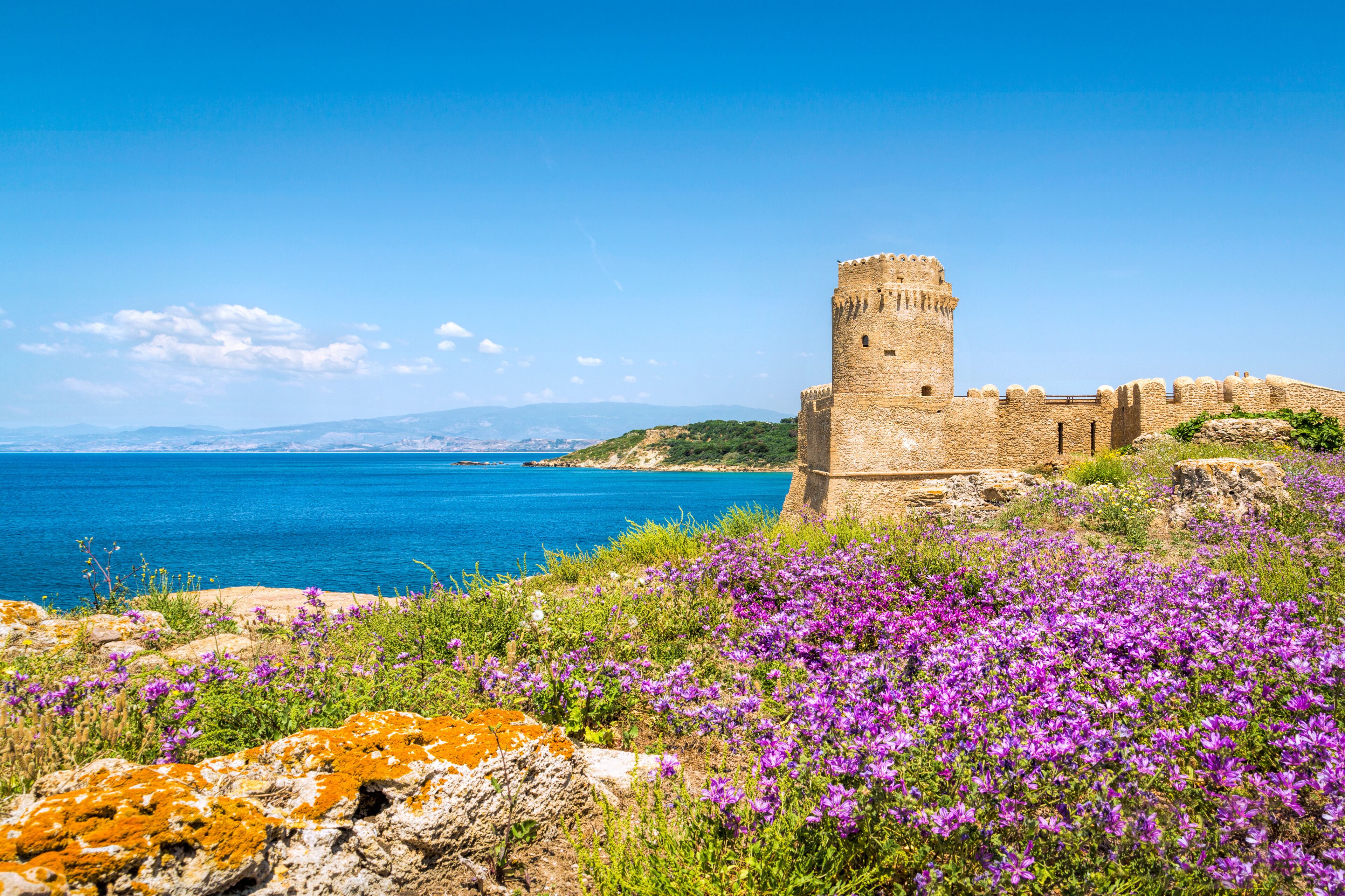 A coastal castle with a tower, surrounded by purple flowers and rocky terrain.