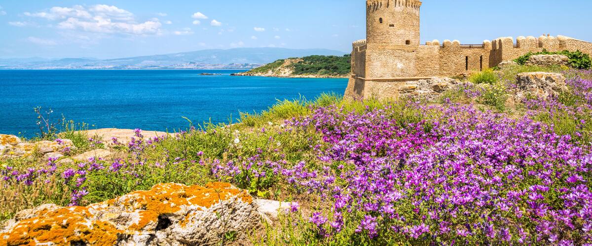 A coastal castle with a tower, surrounded by purple flowers and rocky terrain.