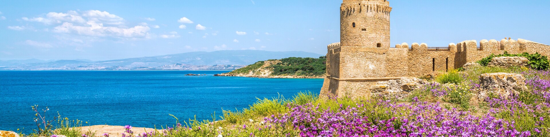 A coastal castle with a tower, surrounded by purple flowers and rocky terrain.