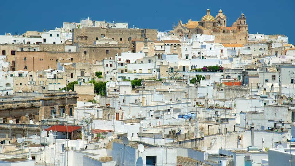 A densely packed urban area with white buildings and a prominent historical building with domes in the background.