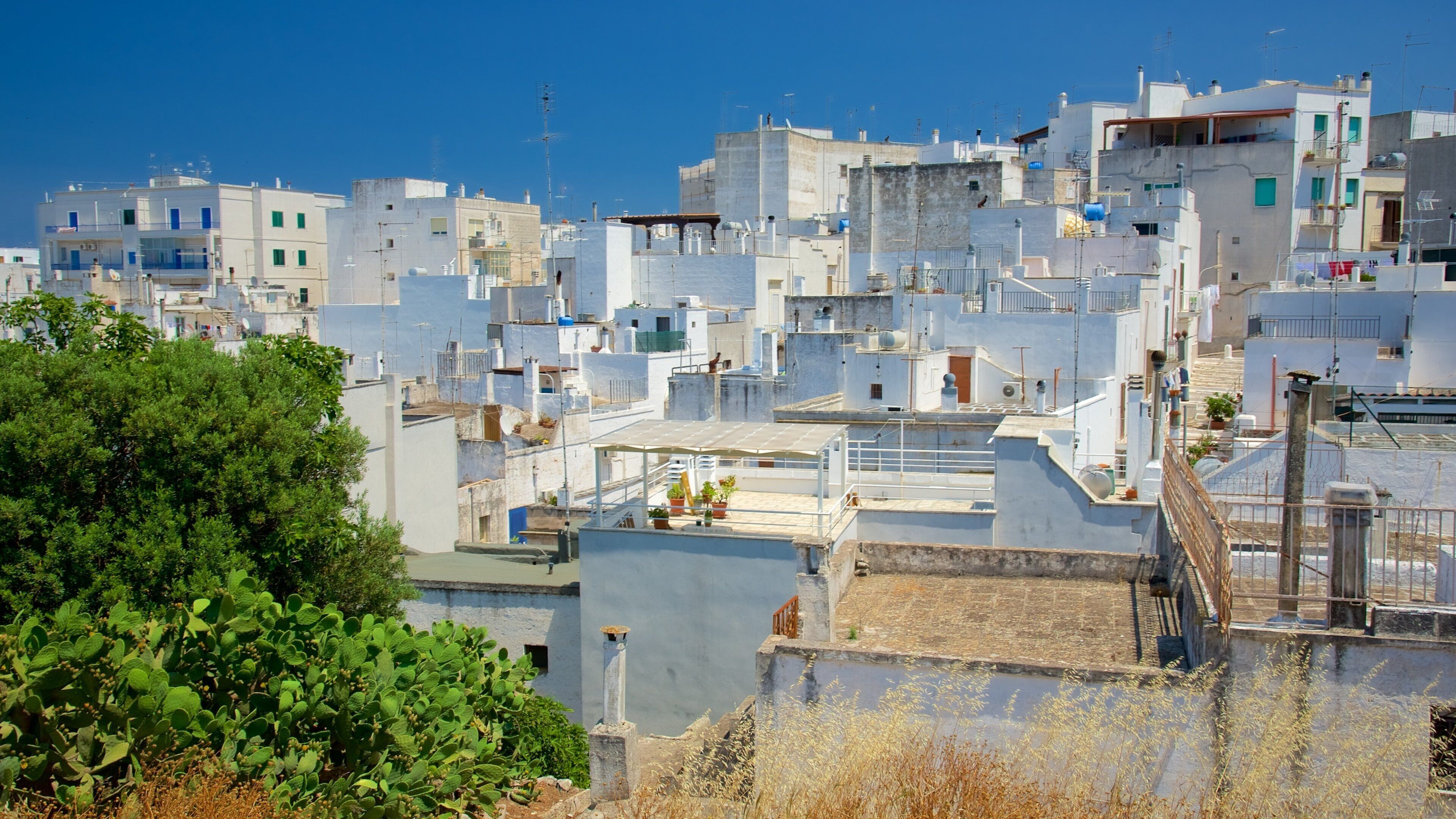 Brindisi som inkluderar en stad