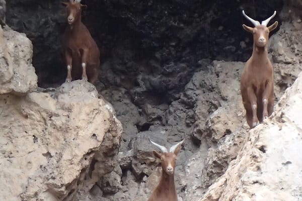 Cave near the church