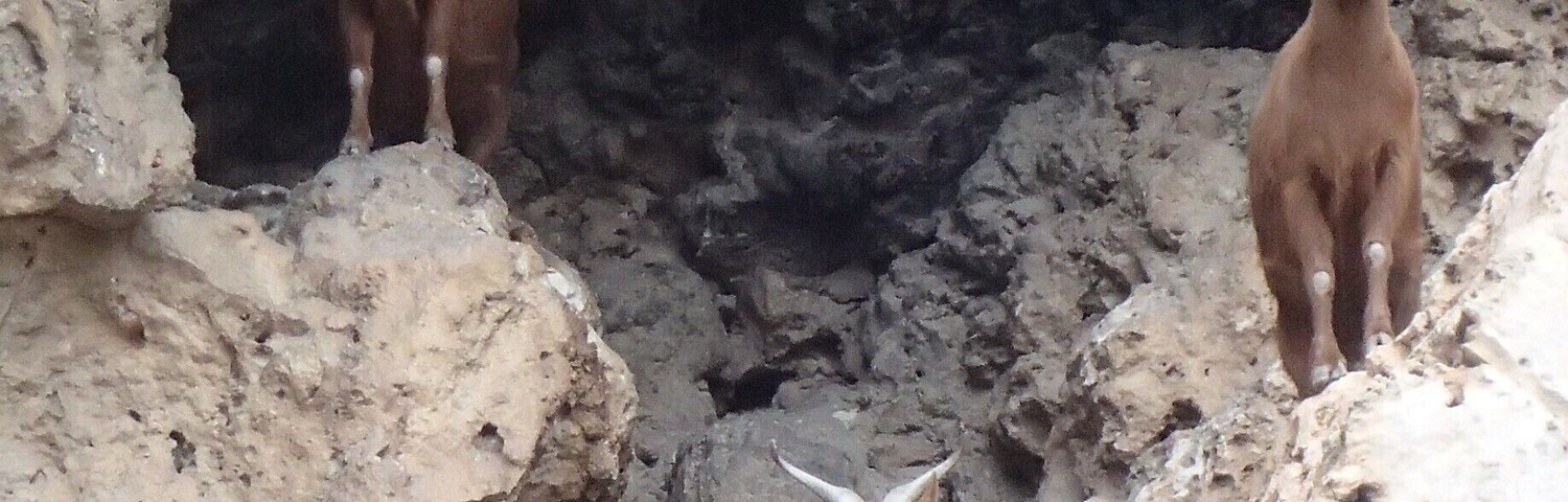 Cave near the church