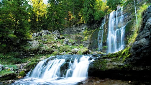 This is a great spot for waterfall photography, there are a couple of really beautiful ones, especially during the fall, with all the beautifully colored trees.
Note that in winter and autumn, the sun never reaches this part of the mountain