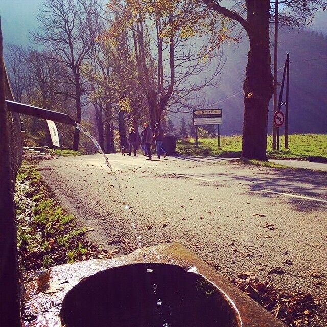 You're missing too much if you don't visit this marvelous place - les Alpes francaises.