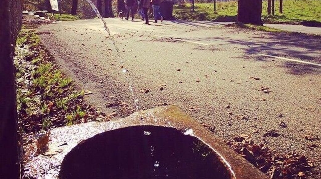 You're missing too much if you don't visit this marvelous place - les Alpes francaises.