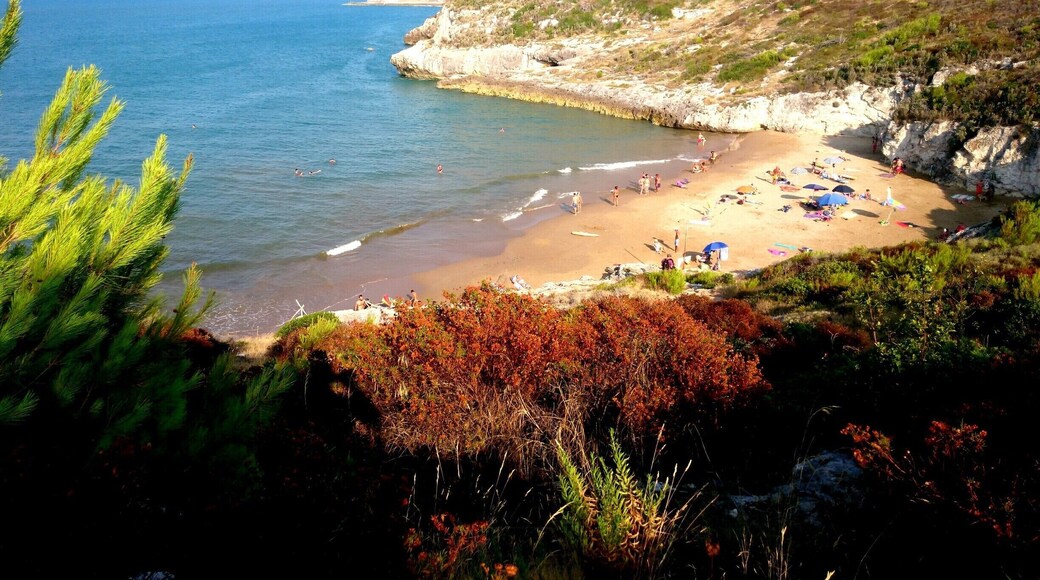 La bellissima Cala del Turco a #Peschici, per chi ama vivere il mare del #Gargano in tranquillità