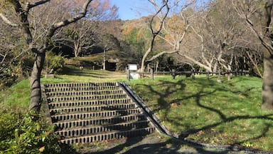 Ana-kan'non Kofun (穴観音古墳), located at Toyosawa, Mito-cho, Toyokawa, Aichi, Japan