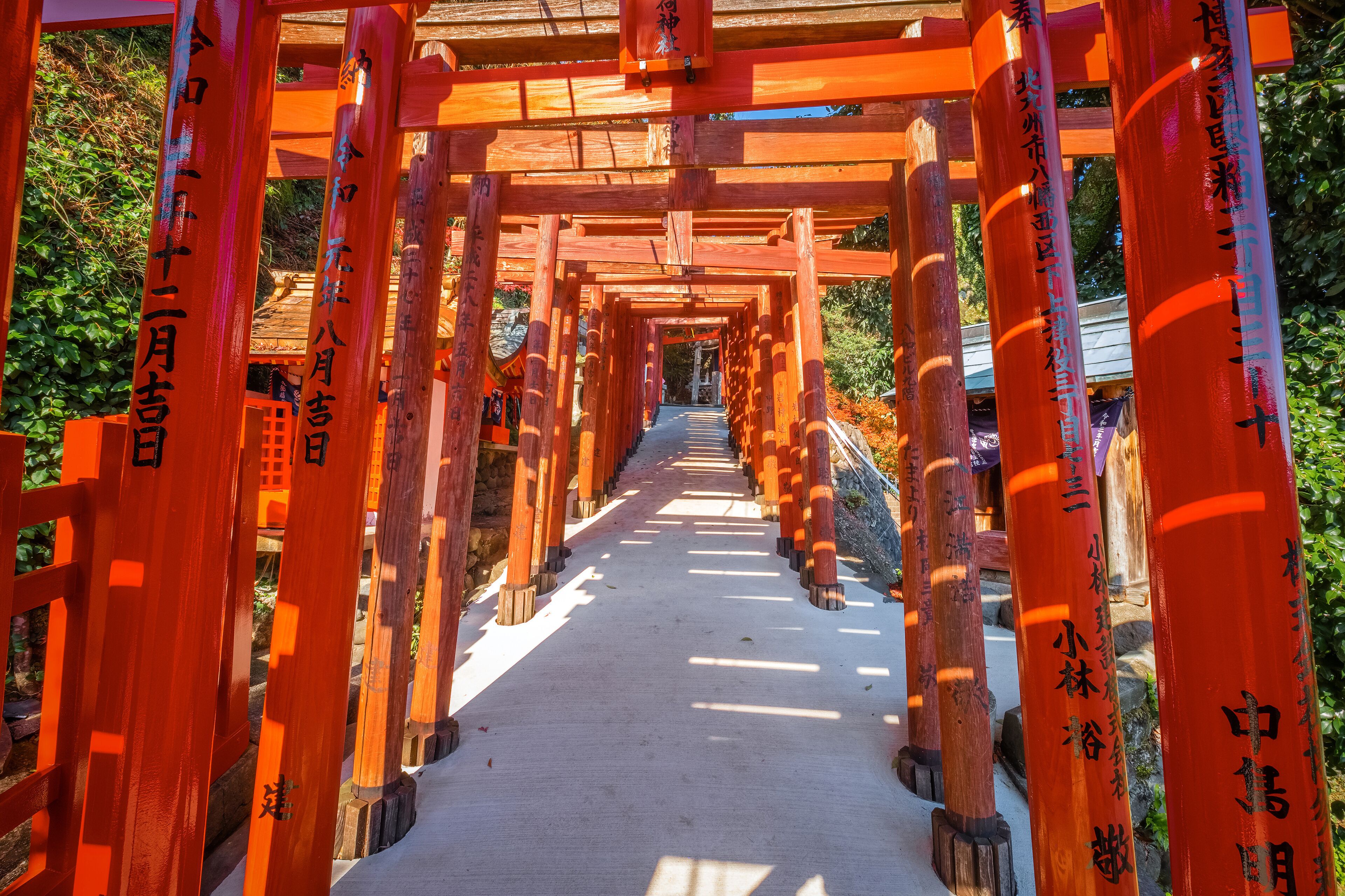Saga, Japan - Nov 28 2022: Yutoku Inari shrine in Kashima City, Saga Prefecture. It's one of Japan's top three shrines dedicated to Inari alongside Fushimi Inari in Kyoto and Toyokawa Inari in Aichi