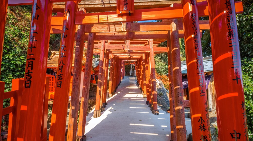 Saga, Japan - Nov 28 2022: Yutoku Inari shrine in Kashima City, Saga Prefecture. It's one of Japan's top three shrines dedicated to Inari alongside Fushimi Inari in Kyoto and Toyokawa Inari in Aichi