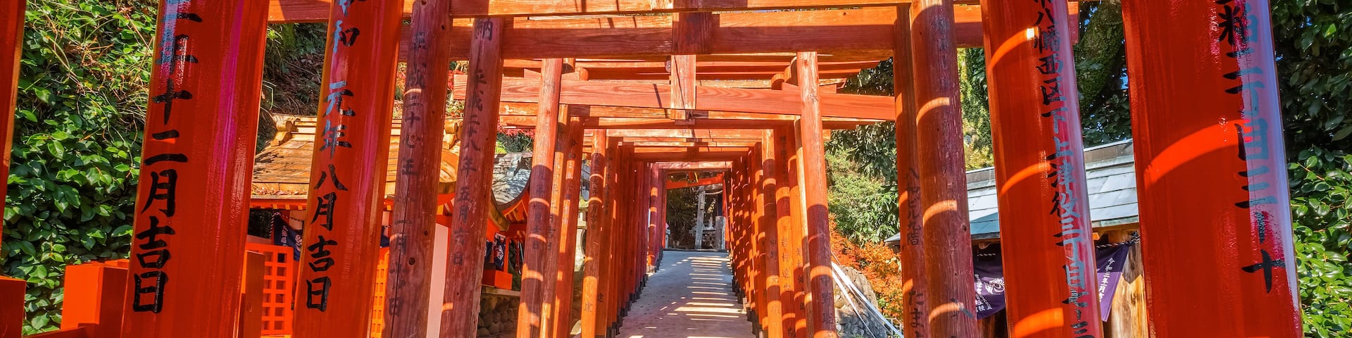 Saga, Japan - Nov 28 2022: Yutoku Inari shrine in Kashima City, Saga Prefecture. It's one of Japan's top three shrines dedicated to Inari alongside Fushimi Inari in Kyoto and Toyokawa Inari in Aichi