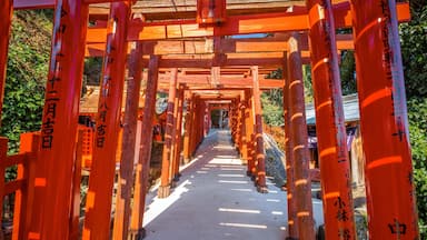 Saga, Japan - Nov 28 2022: Yutoku Inari shrine in Kashima City, Saga Prefecture. It's one of Japan's top three shrines dedicated to Inari alongside Fushimi Inari in Kyoto and Toyokawa Inari in Aichi