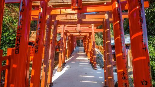 Saga, Japan - Nov 28 2022: Yutoku Inari shrine in Kashima City, Saga Prefecture. It's one of Japan's top three shrines dedicated to Inari alongside Fushimi Inari in Kyoto and Toyokawa Inari in Aichi