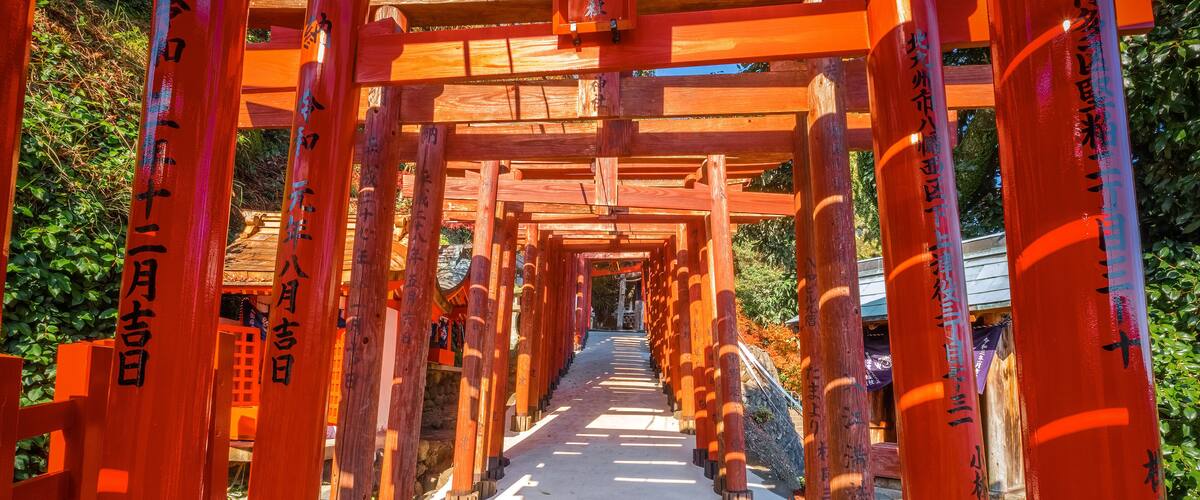 A pathway lined with red torii gates leading to a traditional Japanese building.