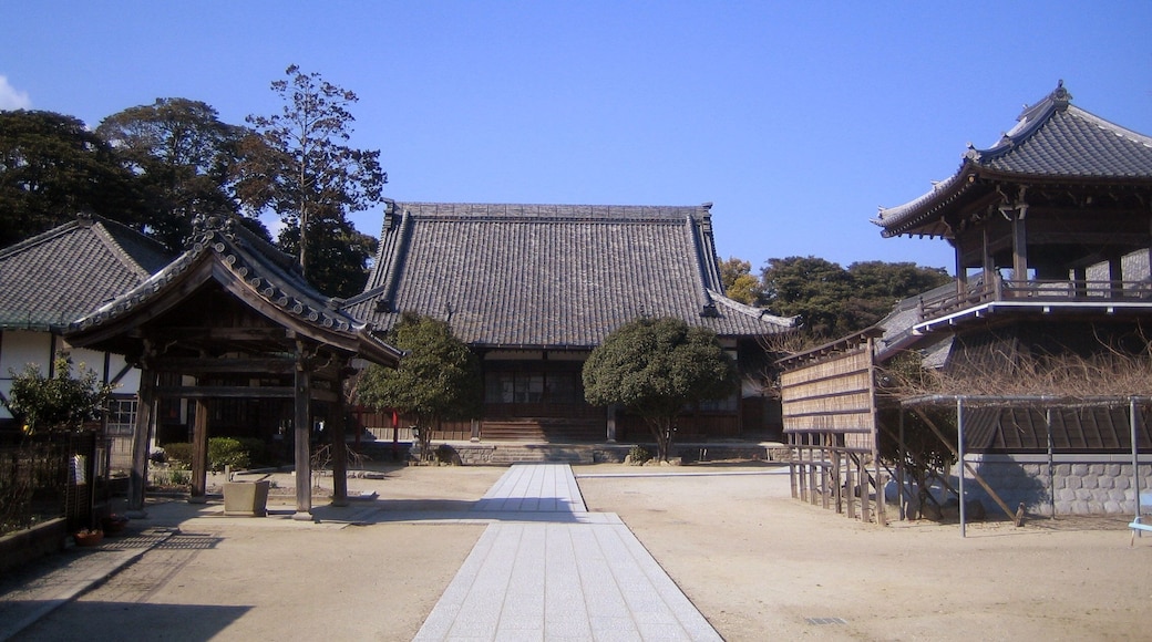 Tozenji (東漸寺 Tōzen-ji), located at 58 Nuidono, Ina, Kozakai, Aichi, Japan