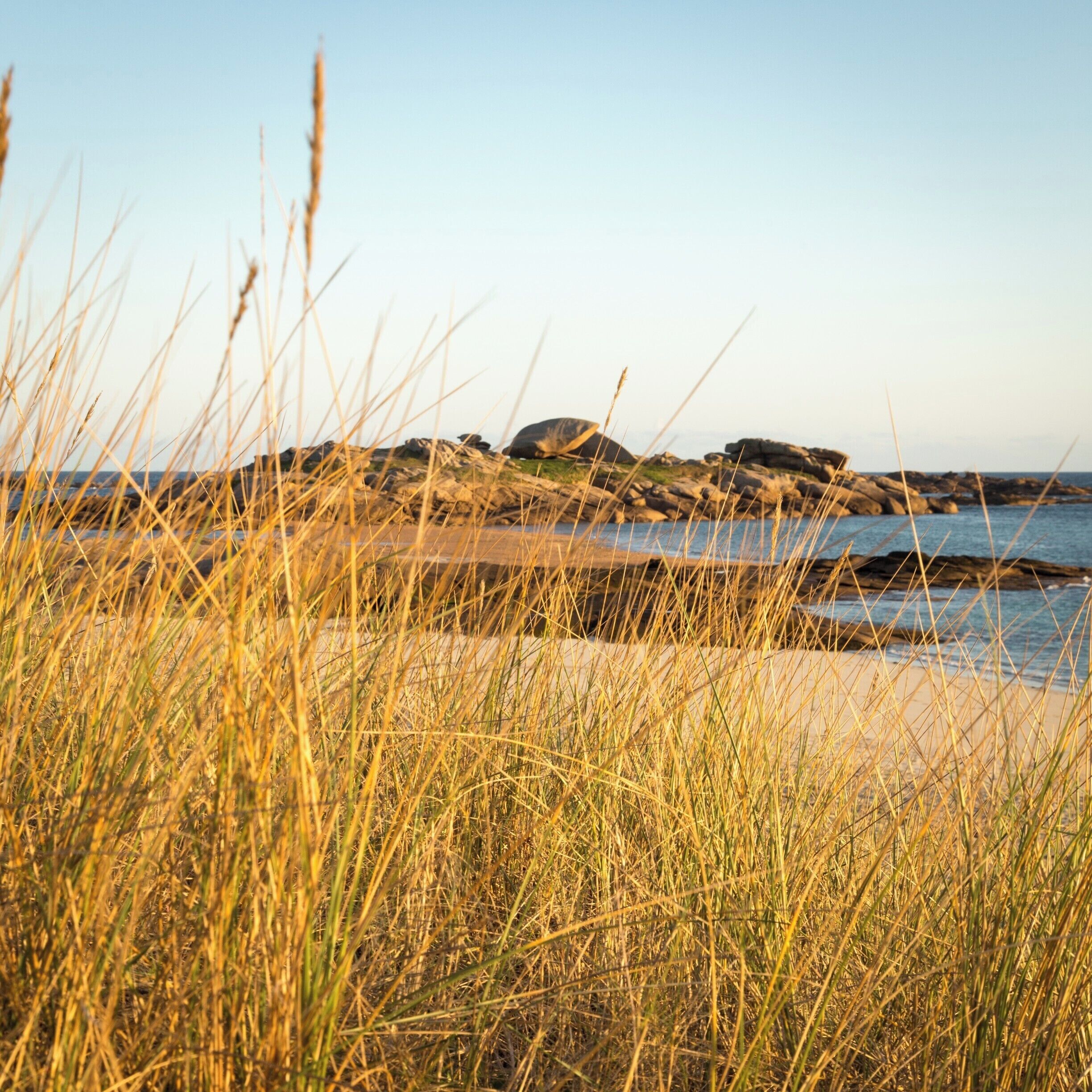 I was talking about some of our misadventures on my previous Tregastel post.
On this one, from the same early morning, I actually lost my e-cigarette in the dunes as I was laying down to get this shot.
Luckily, we got back there two hours later and found it.