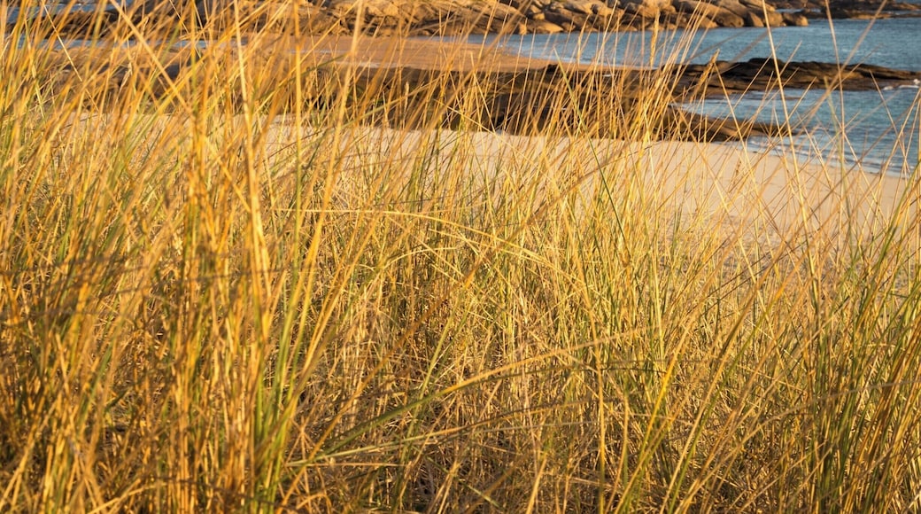 I was talking about some of our misadventures on my previous Tregastel post.
On this one, from the same early morning, I actually lost my e-cigarette in the dunes as I was laying down to get this shot.
Luckily, we got back there two hours later and found it.
