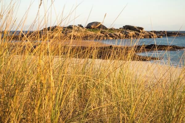 I was talking about some of our misadventures on my previous Tregastel post.
On this one, from the same early morning, I actually lost my e-cigarette in the dunes as I was laying down to get this shot.
Luckily, we got back there two hours later and found it.