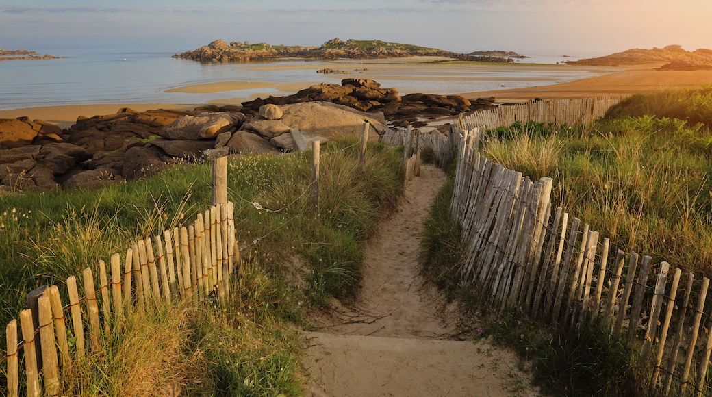 ํธ๋ ๊ฐ์คํ
