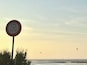 A beach with a no dogs sign, the ocean, and kites in the sky.