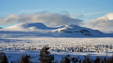 A snow-covered landscape with a mountain range and scattered trees.