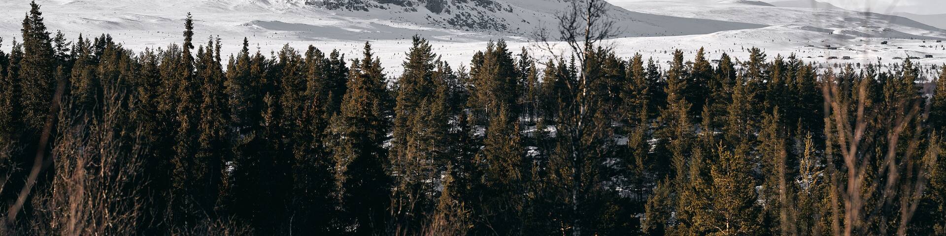 Landscape of the winter mountains in Ål, Hallingdal, Norway. Shot in April in the evening. Summer is coming, but the snow is still covering the mountains.