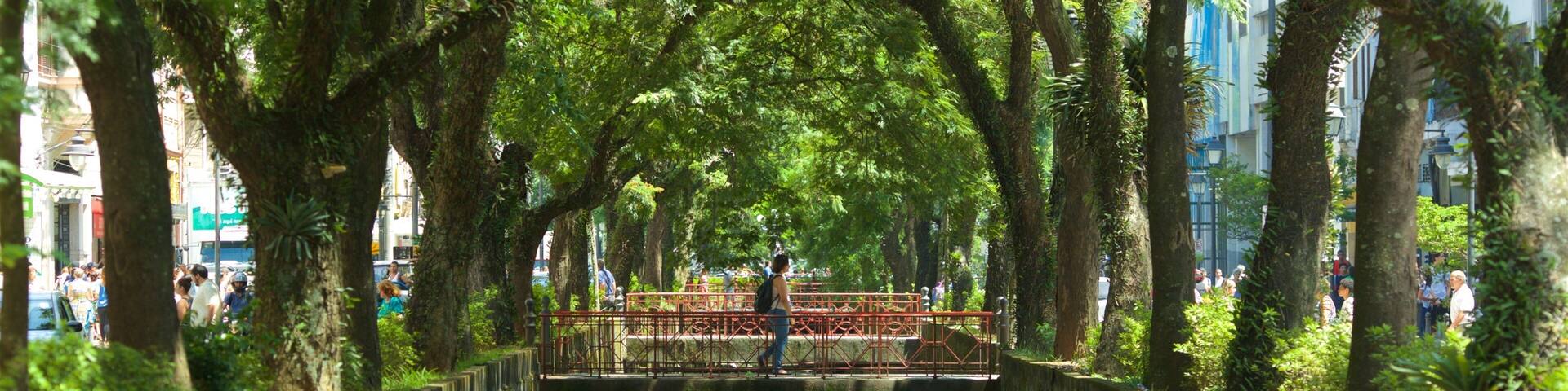 Petropolis som inkluderar en å eller flod, en trädgård och en bro