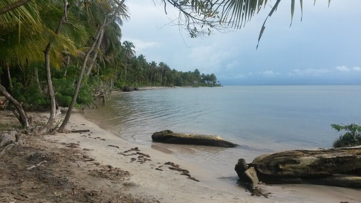 Take the bus from Bocas del Toro to Boca del Drago and walk to the Playa Estrella (Starfish Beach) from there (approx. 15 mins). 
The beach itself is quite touristy but the walk there is really nice.