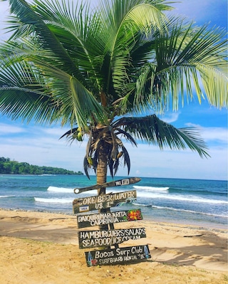 You should go! #bocasdeltoro #panama #beachlife #endlesssummer