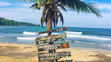 A beach with a palm tree and signs advertising local amenities like surf clubs and food.