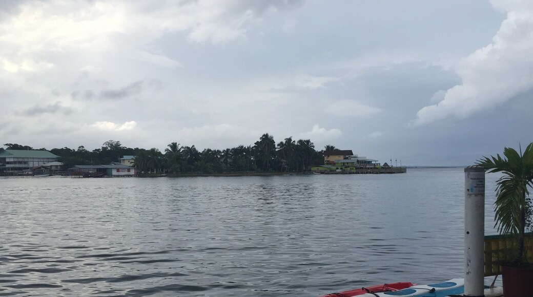 Early morning rain in Bocas