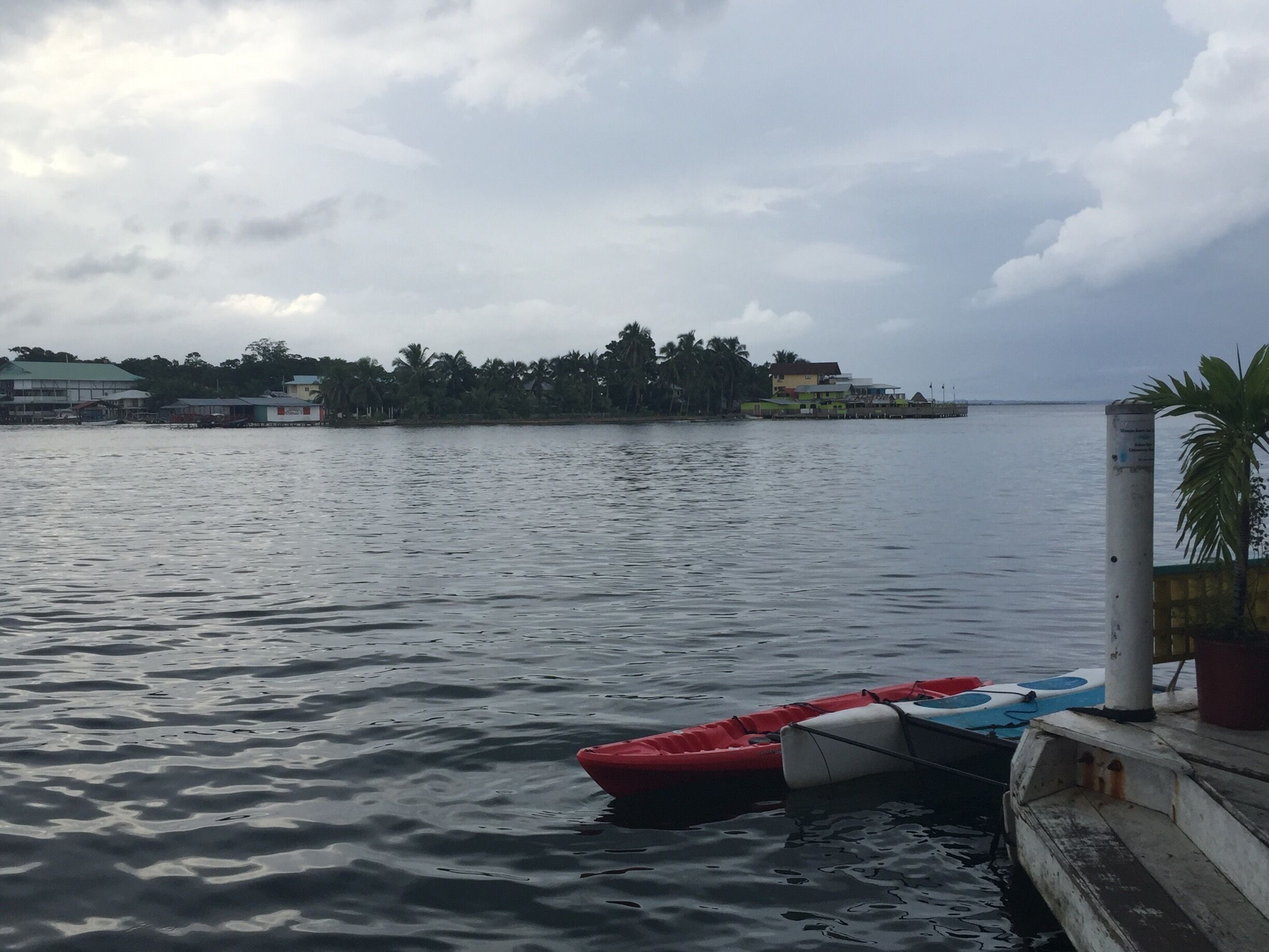 Calm water with a red and blue boat docked on the right. In the background, there are buildings and palm trees along the shore.