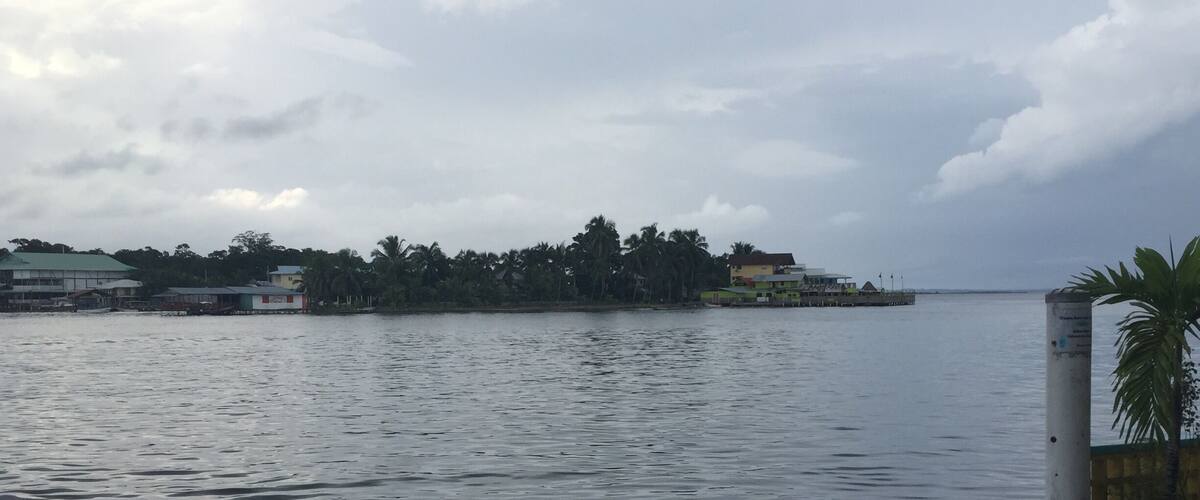 Calm water with a red and blue boat docked on the right. In the background, there are buildings and palm trees along the shore.
