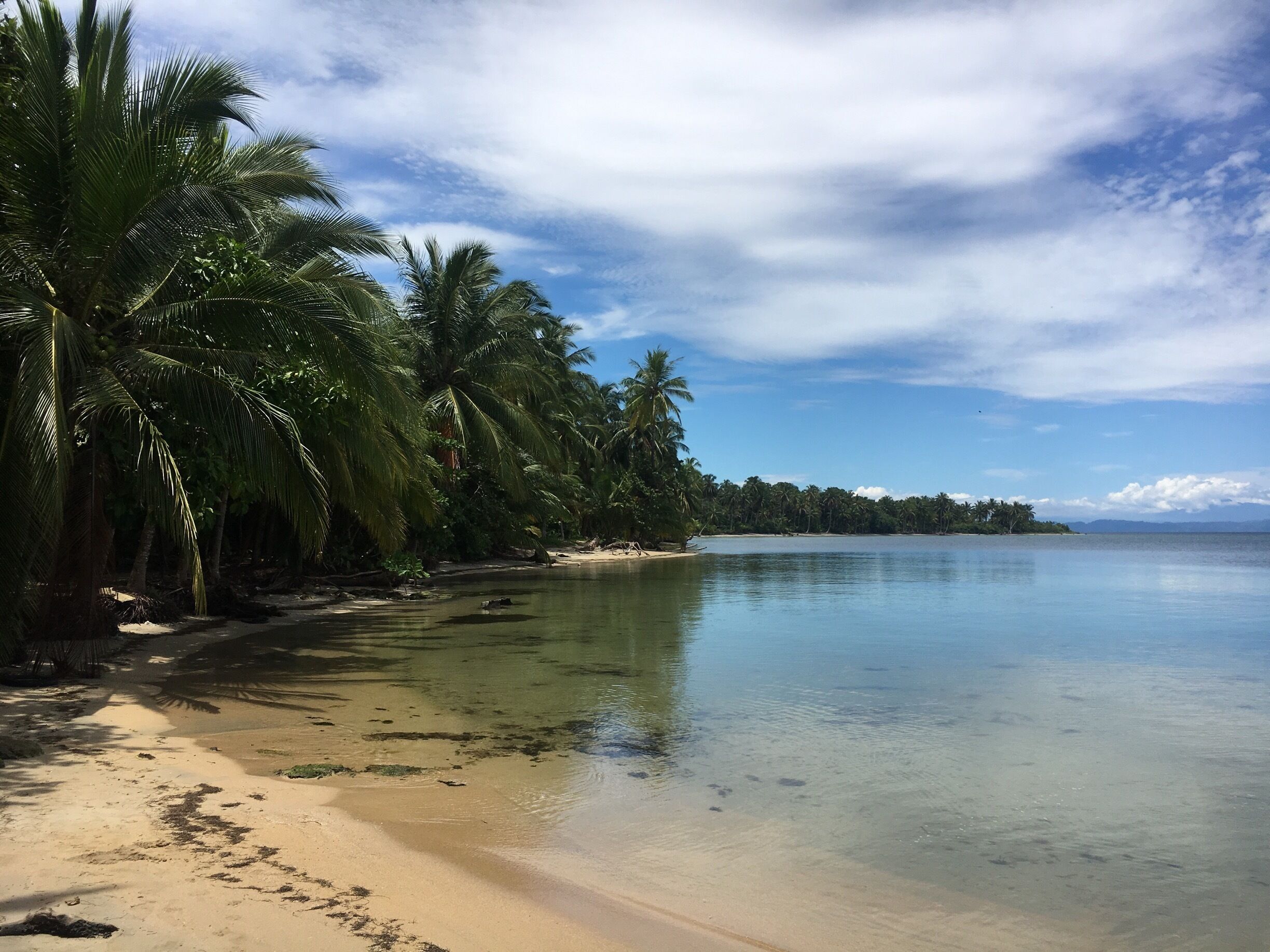 Found another paradise, few days ago, on the way to Playa Estrella in Bocas del Toro, Panama.