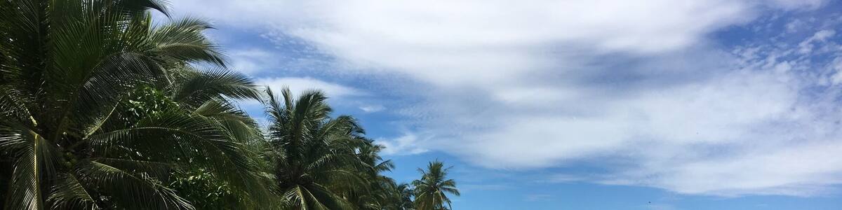 Found another paradise, few days ago, on the way to Playa Estrella in Bocas del Toro, Panama.