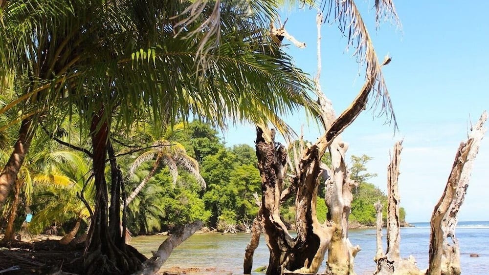 Beautiful tiny island.