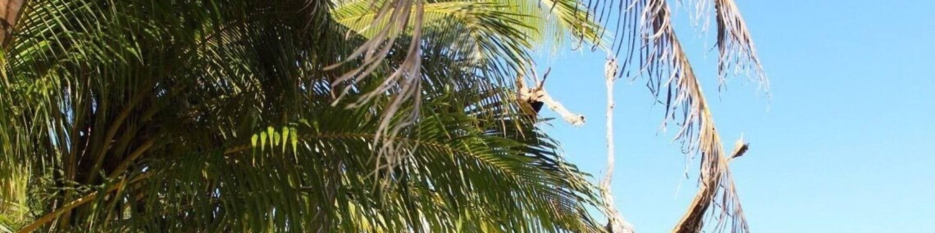 Beautiful tiny island.